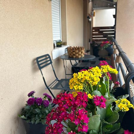 Appartement De Charme 80M2 Givors Eksteriør billede