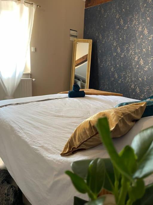 Appartement De Charme 80M2 Givors Eksteriør billede