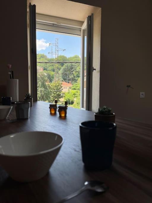 Appartement De Charme 80M2 Givors Eksteriør billede