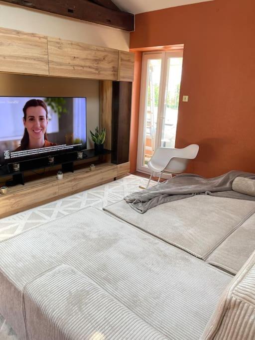 Appartement De Charme 80M2 Givors Eksteriør billede