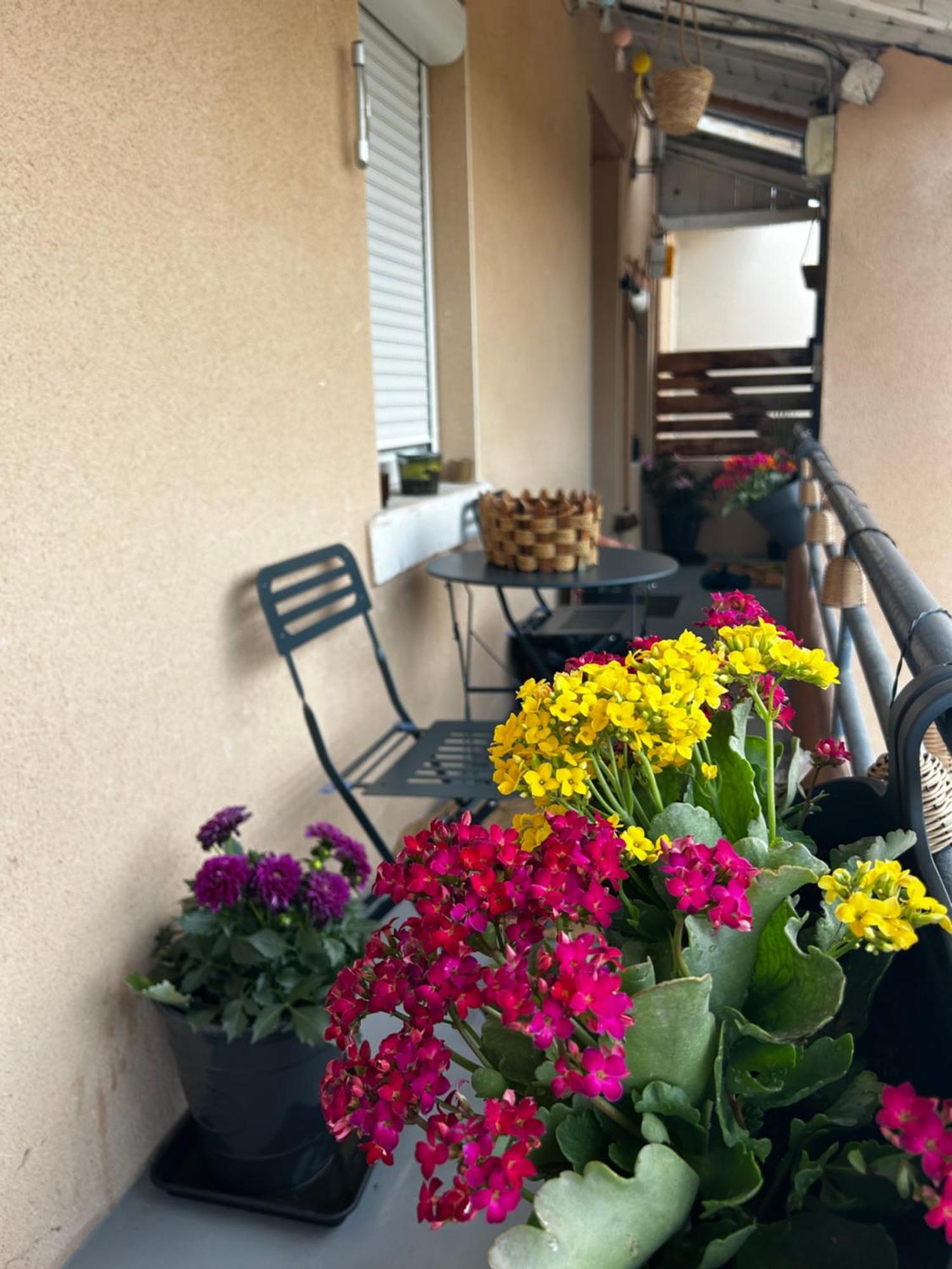 Appartement De Charme 80M2 Givors Eksteriør billede